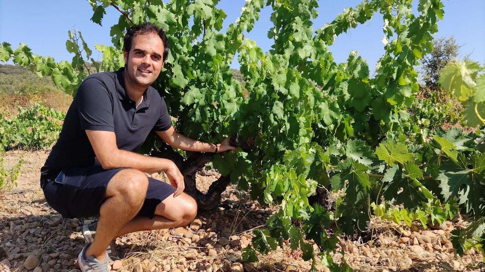 Andres-entre-sus-vinedos
