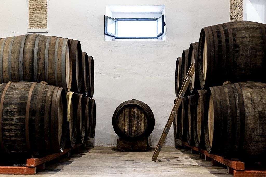 Bodega