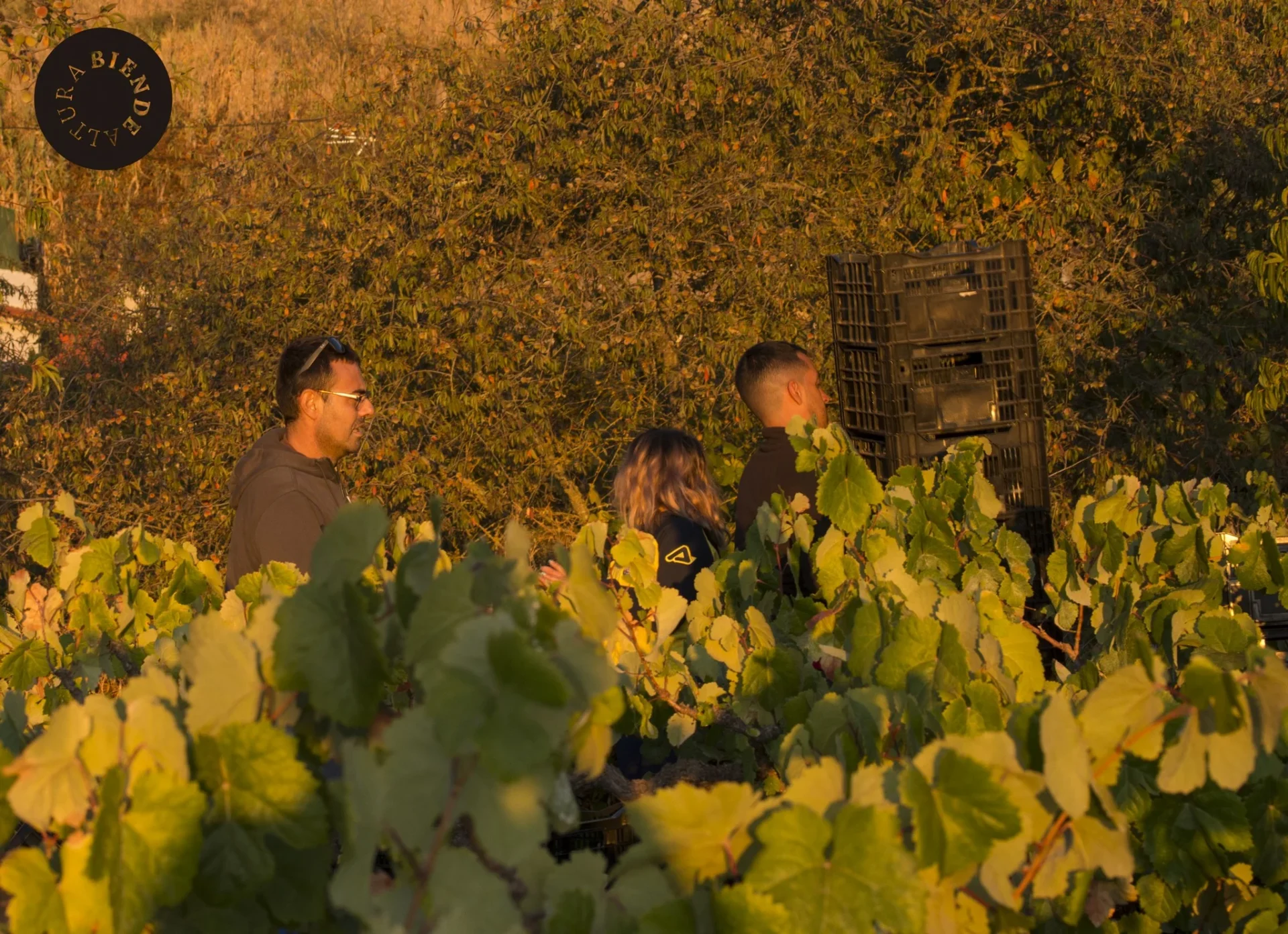 Bien-de-Altura-Vinos-–-Carmelo-Pena-33.jpg