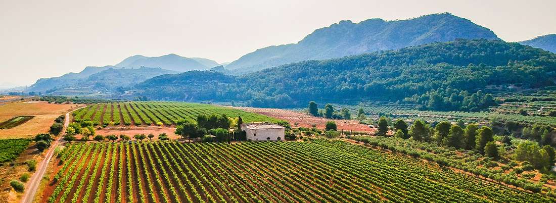 blog-closcorvi-1100x402-1