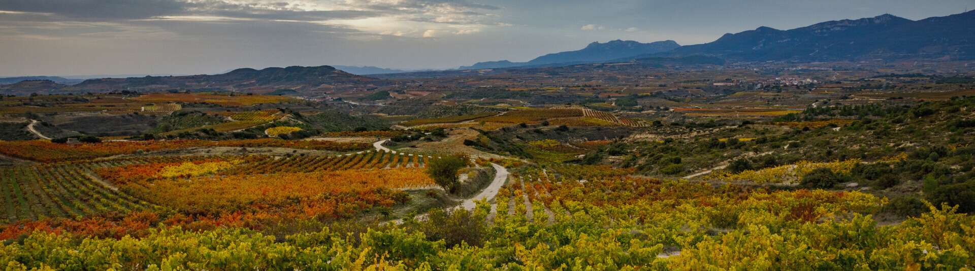 parcela