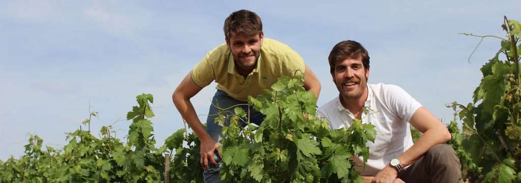 vinos-casalebai-asier-rodrigo-2-1024x360