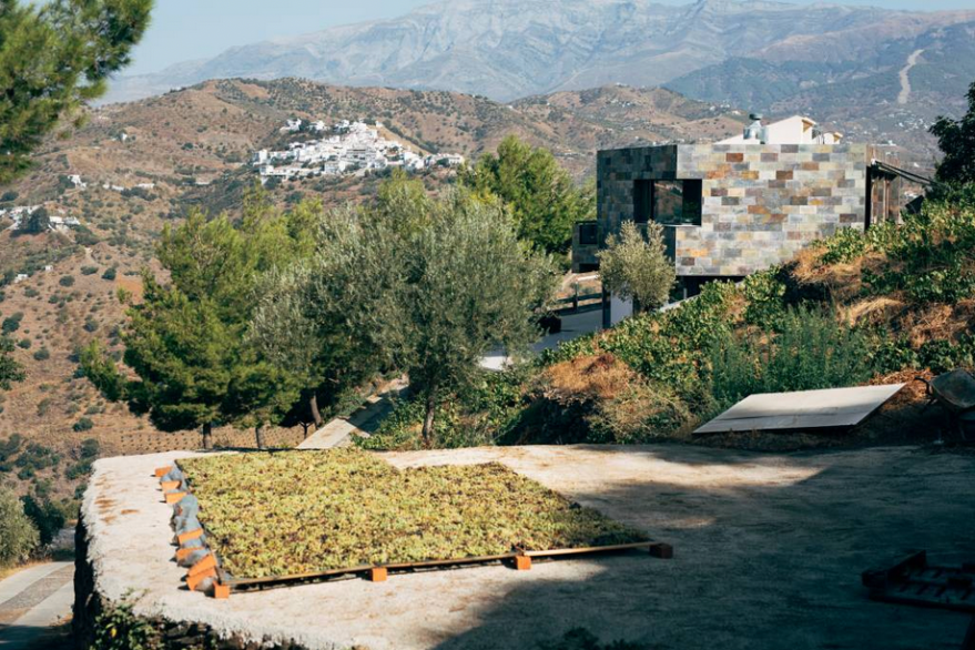bodegas-bentomiz-2
