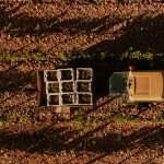 BodegaFormentera_01-1