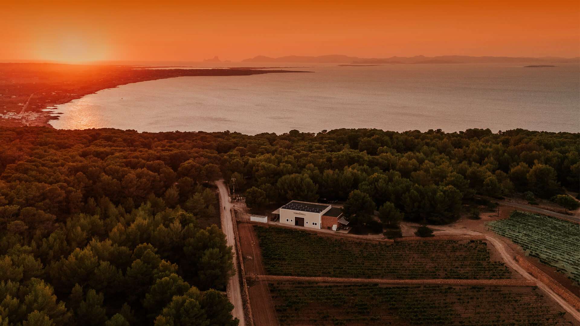 BodegaFormentera_23-1