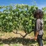 visite_du_domaine
