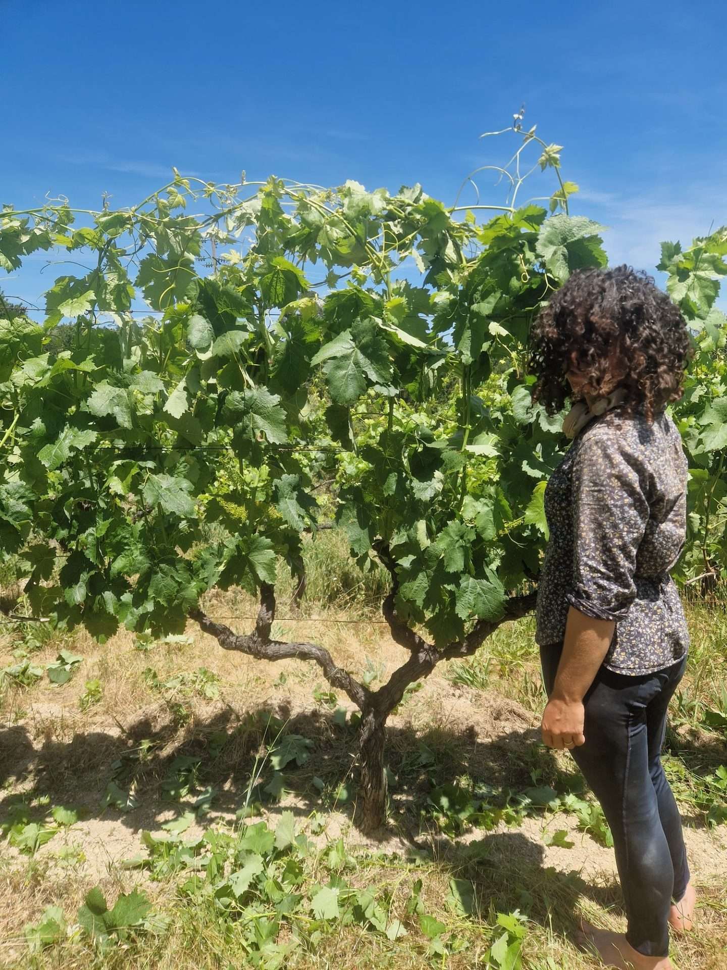 visite_du_domaine