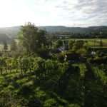 DSCF7589 (1)