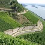 Weingut Leitz