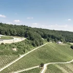 Weingut Leitz.jpg